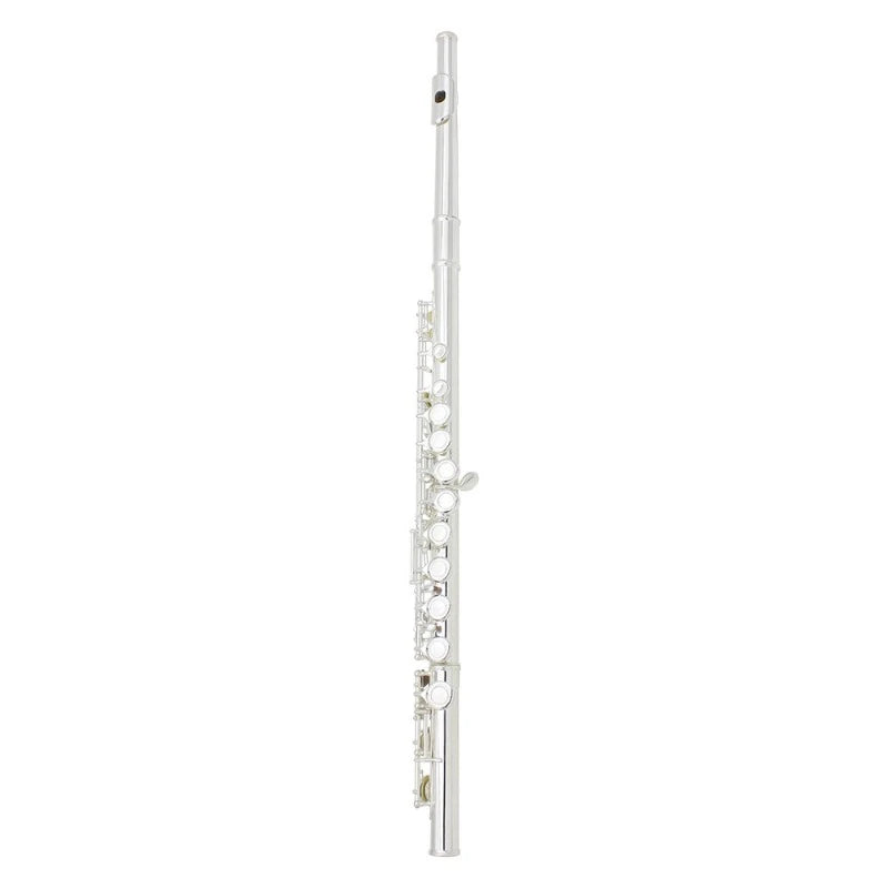C-Tone Concert Flute – Metal Student Wind Instrument for Beginners & Practice