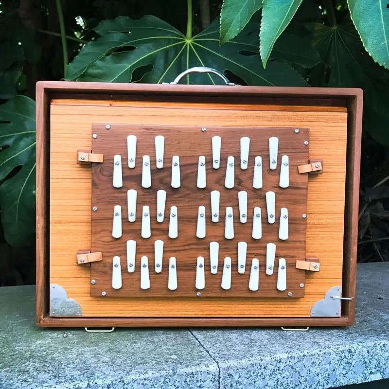 Indian Wooden Singing Box – Meditation & Sound Healing Yoga Percussion Instrument