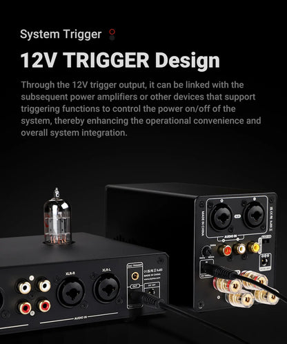 AIYIMA T20 Vacuum Tube Preamplifier  ECC83