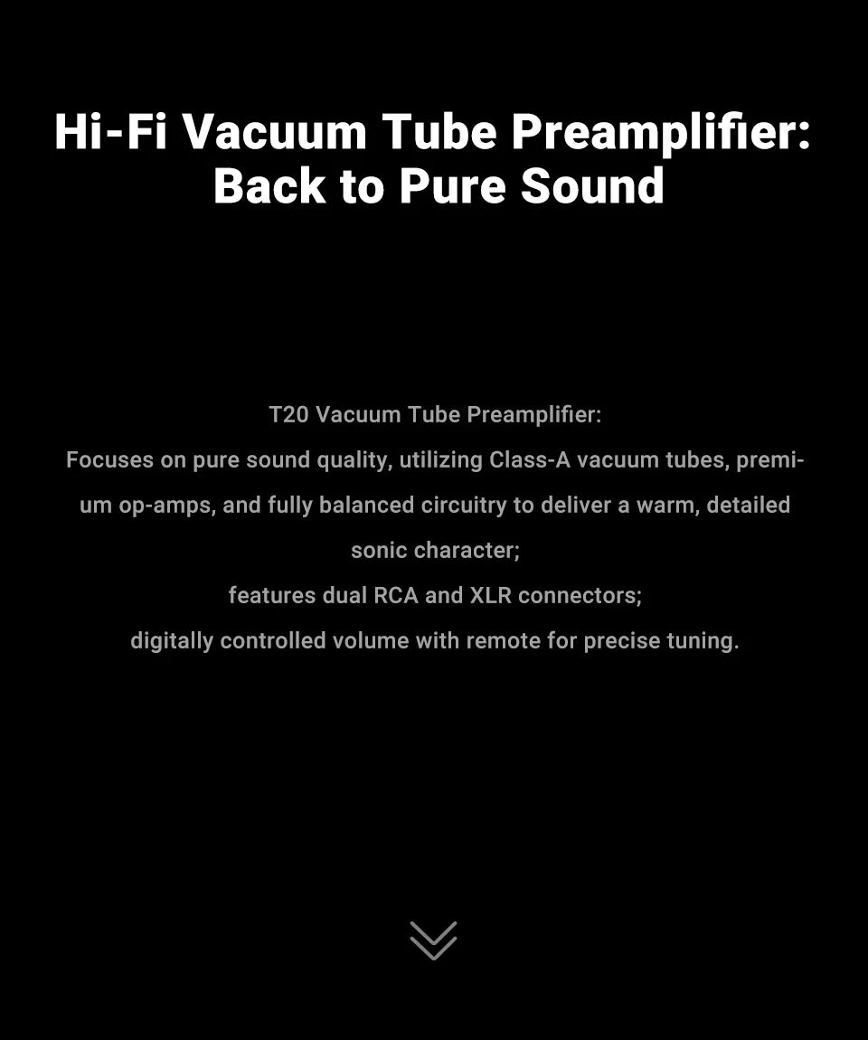 AIYIMA T20 Vacuum Tube Preamplifier  ECC83