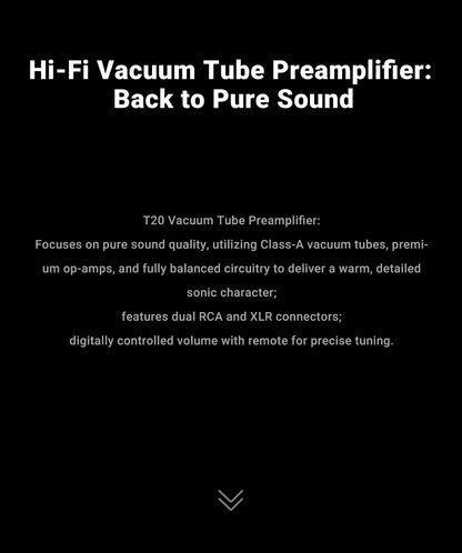 AIYIMA T20 Vacuum Tube Preamplifier  ECC83